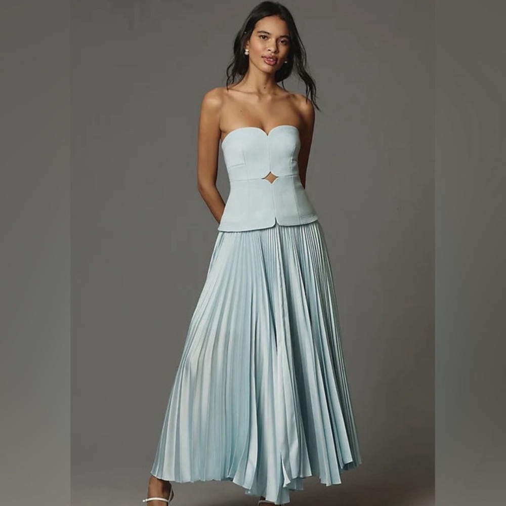 Brand new Camille chevalier dress - Halloween perfection!